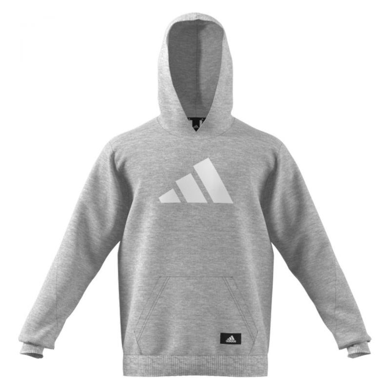 FUTURE ICONS majica s kapuljačom siva Cijena Akcija