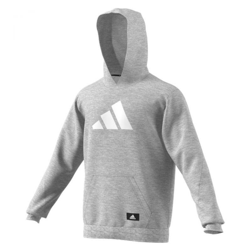 FUTURE ICONS majica s kapuljačom siva Cijena Akcija