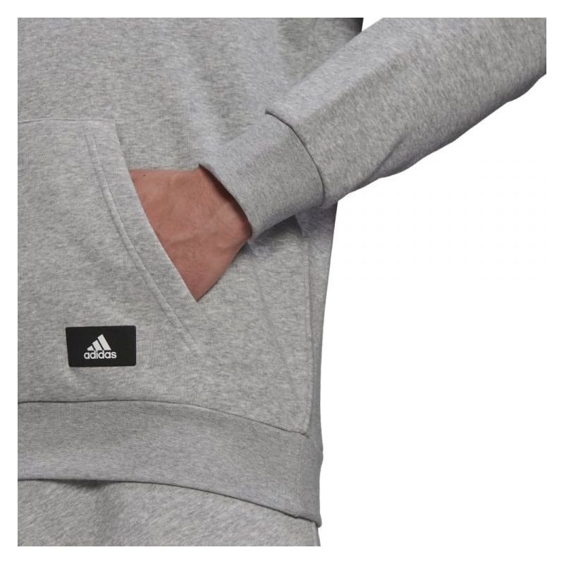 FUTURE ICONS majica s kapuljačom siva Cijena Akcija